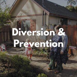 Diversion and Prevention